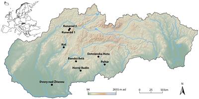 Functional diversity of shredders, not species richness, drives the decomposition rate of leaf litter in ponds